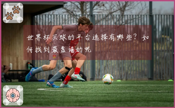 世界杯买球的平台选择有哪些？如何找到最靠谱的呢