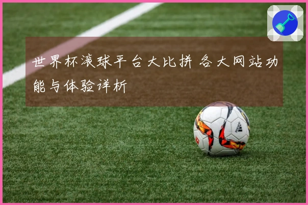 世界杯滚球平台大比拼 各大网站功能与体验详析