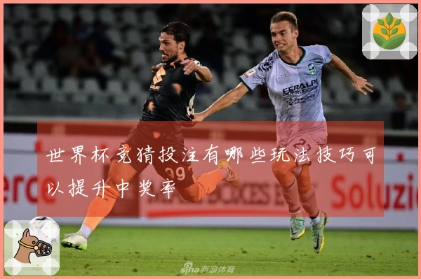 世界杯竞猜投注有哪些玩法技巧可以提升中奖率