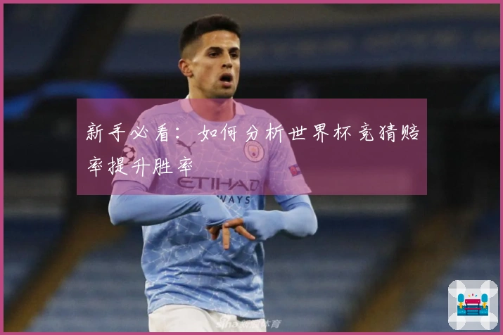 新手必看：如何分析世界杯竞猜赔率提升胜率