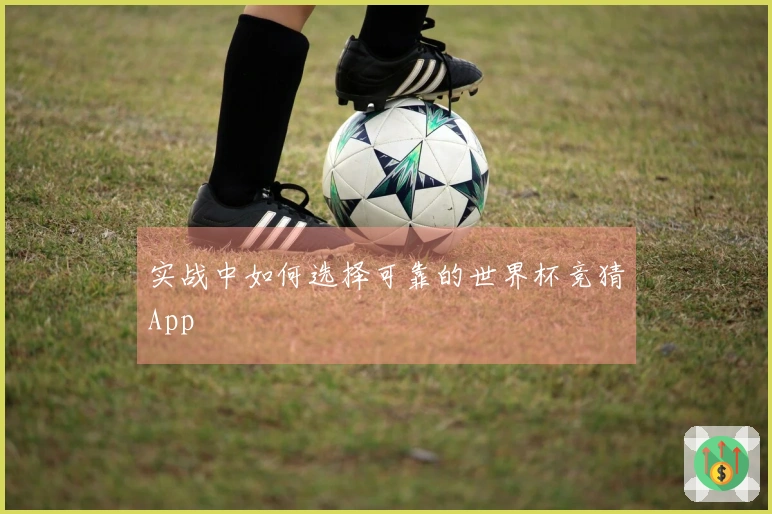实战中如何选择可靠的世界杯竞猜App