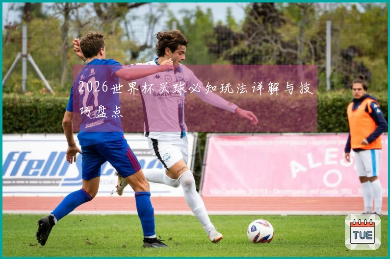 2026世界杯买球必知玩法详解与技巧盘点