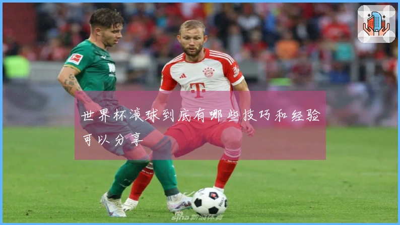 世界杯滚球到底有哪些技巧和经验可以分享