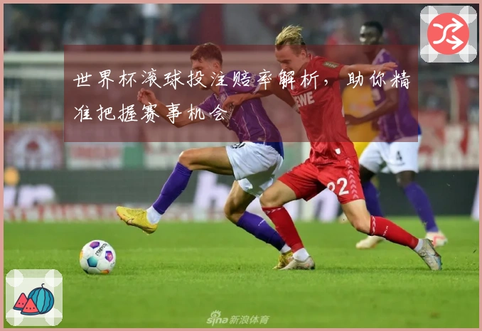 世界杯滚球投注赔率解析，助你精准把握赛事机会