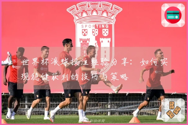 世界杯滚球投注经验分享：如何实现稳健获利的技巧与策略