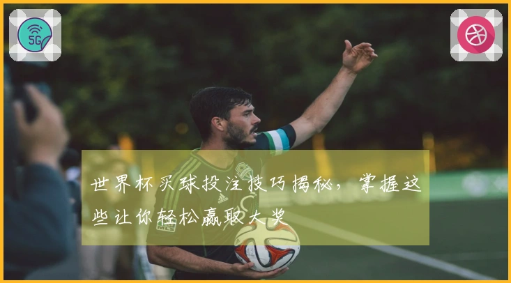 世界杯买球投注技巧揭秘，掌握这些让你轻松赢取大奖